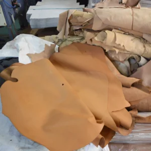 Leather Hide Image